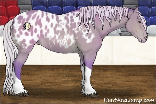 Horse Color:Watercolor Silver Bay Tobiano Appaloosa 