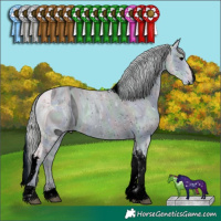 Horse Color:ERROR: UNKNOWN ANOMALY