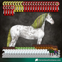 Horse Color:Painted Chocolate Grullo Ice Onyx Sabino Splash Tobiano Varnish 