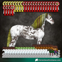 Horse Color:Painted Chocolate Grullo Ice Onyx Sabino Splash Tobiano Varnish