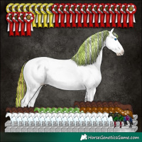 Horse Color:Painted Chocolate Grullo Ice Onyx Sabino Splash Tobiano Appaloosa 