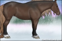 Horse Color:Liver Chestnut Varnish 