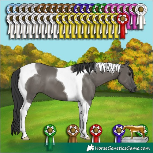 Horse Color:Grullo Tobiano 