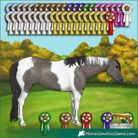 Horse Color:Grullo Tobiano