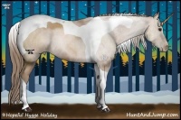 Horse Color:Black Pearl Sabino Tobiano