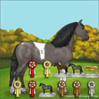 Horse Color:Grullo Tobiano