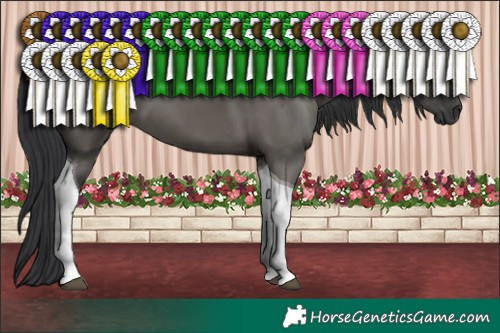 Horse Color:Grullo Tobiano