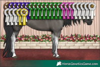 Horse Color:Grullo Tobiano
