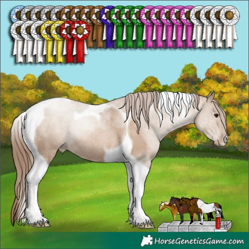 Horse Color:Grullo Pearl Tobiano Rabicano 