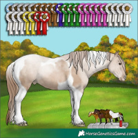 Horse Color:Grullo Pearl Tobiano Rabicano 