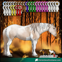 Horse Color:Grullo Pearl Tobiano Rabicano 