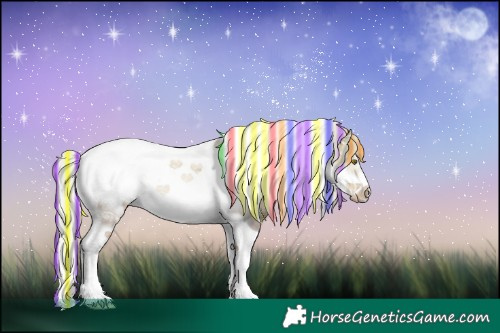 Horse Color:Painted White Spotted Silver Grullo Ice Pearl Splash Tobiano Frame 