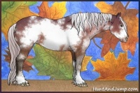 Horse Color:White Spotted Silver Brown Sabino Frame 