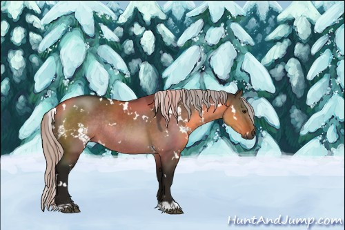 Horse Color:Gray White Spotted Silver Brown Dun Rabicano 