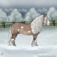 Horse Color:White Spotted Liver Red Dun Mushroom Splash Rabicano