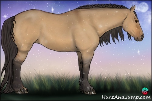 Horse Color:Buckskin Roan Dun 
