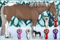Horse Color:Silver Black Sabino Tobiano Varnish 
