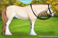 Horse Color:Buckskin Pearl Dun Sabino 