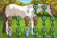 Horse Color:Classic Champagne Sabino Tobiano Varnish 