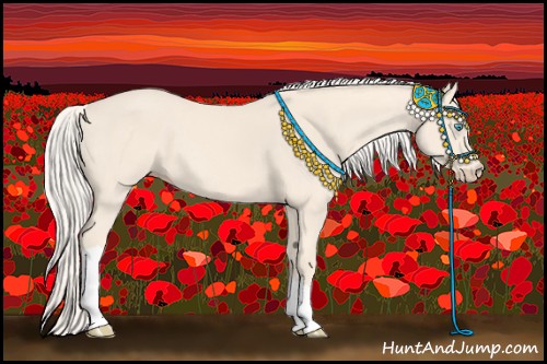 Horse Color:Cremello 