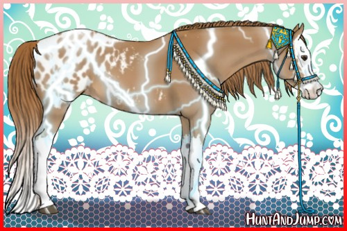Horse Color:Chestnut Splash Appaloosa 