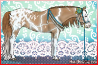 Horse Color:Chestnut Splash Appaloosa 