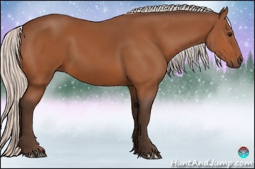 Horse Color:Silver Bay 