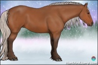 Horse Color:Silver Bay
