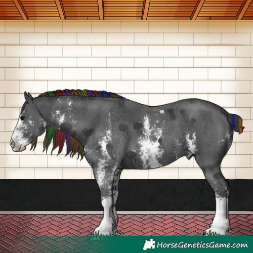 Horse Color:Painted Black Sabino 