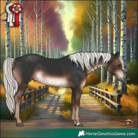 Horse Color:Liver Chestnut Mushroom 