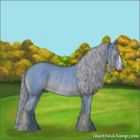 Horse Color:Watercolor Chestnut Rabicano 