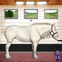 Horse Color:Buckskin Roan Pearl and Buckskin Roan Pearl