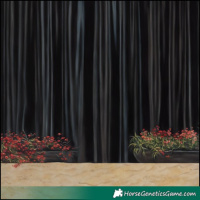 Horse Color:Buckskin Pearl Dun Tobiano  and Sable Cream Champagne Pearl Dun Tobiano 