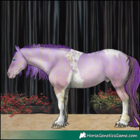 Horse Color:Buckskin Pearl Dun Tobiano and Sable Cream Champagne Pearl Dun Tobiano