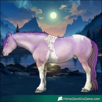 Horse Color:Buckskin Pearl Dun Tobiano and Sable Cream Champagne Pearl Dun Tobiano