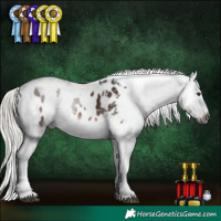 Horse Color:Gray White Spotted Liver Chestnut Mushroom Tobiano Appaloosa  and Gray White Spotted Silver Buckskin Pearl Dun Mushroom Tobiano Appaloosa 