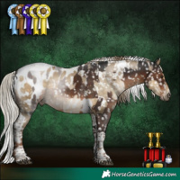 Horse Color:Gray White Spotted Liver Chestnut Mushroom Tobiano Blanket  and Gray White Spotted Silver Buckskin Pearl Dun Mushroom Tobiano Blanket 