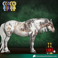 Horse Color:Gray White Spotted Liver Chestnut Mushroom Tobiano Appaloosa  and Gray White Spotted Silver Buckskin Pearl Dun Mushroom Tobiano Appaloosa 