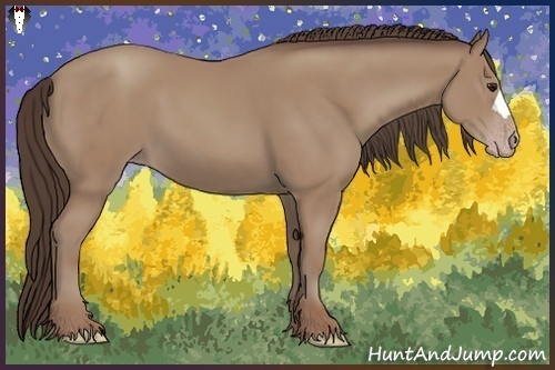 Horse Color:Classic Champagne