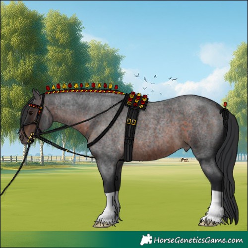 Horse Color:Brown Roan 