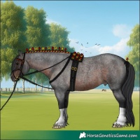 Horse Color:Brown Roan