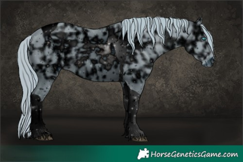 Horse Color:ERROR: UNKNOWN ANOMALY