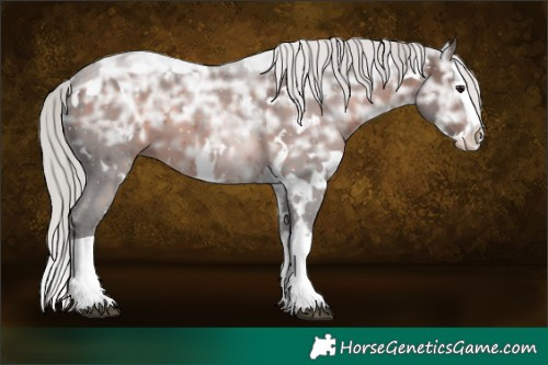 Horse Color:White Spotted Silver Bay Ice Sabino Splash 