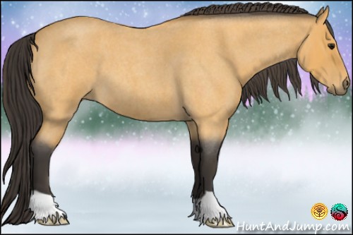 Horse Color:Buckskin Roan 