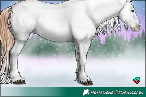 Horse Color:Bay Sabino Blanket 
