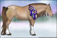 Horse Color:Black Pearl Sabino Tobiano Rabicano