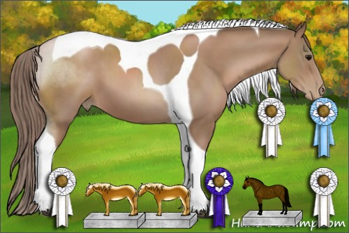 Horse Color:Black Pearl Sabino Tobiano