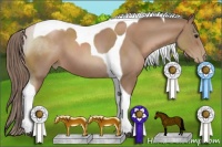 Horse Color:Black Pearl Sabino Tobiano