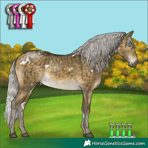 Horse Color:White Spotted Silver Buckskin Dun Mushroom Brindle 