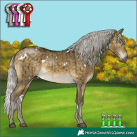 Horse Color:White Spotted Silver Buckskin Dun Mushroom Brindle 